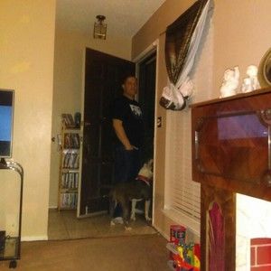 Meet your Posher, Benny